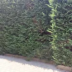 Iliria Durres Apartments