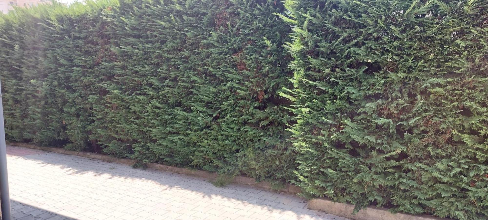 Apartament Iliria Durrës